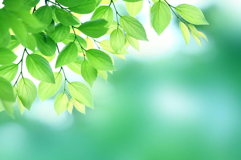 タケヤグループ